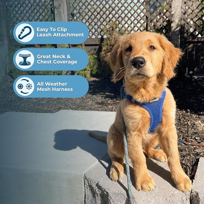 Best Pet Supplies Voyager Step-in Air All Weather Mesh Harness and Reflective Dog 5ft Leash Combo with Neoprene Handle, for Small, Medium and Large Breed Puppies - Set (Royal Blue), XX-Small