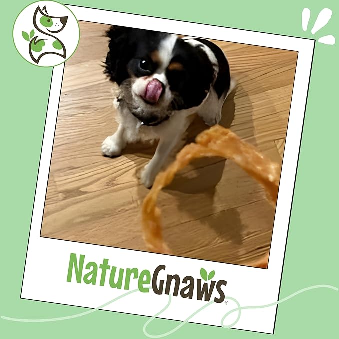 Nature Gnaws USA Turkey Tendon Rings for Dogs (8oz) - Delicious Grain Free Reward Snack for Small, Medium & Large Breeds - Premium Natural Dog Chew Treats