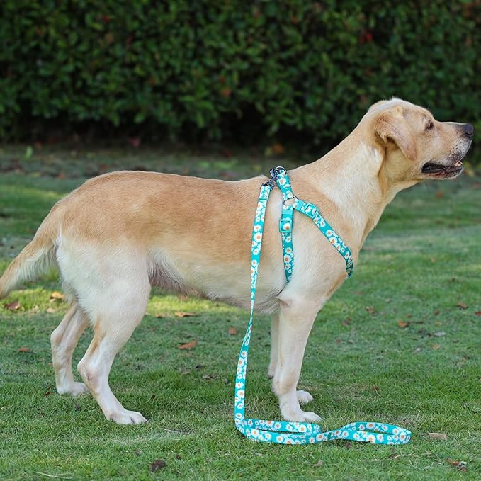Harness and Leash Set, Floral Pattern, 5ft Matching Leash, No Pull, Easy Wear for Small Puppy Dogs.(XS, Green Daisy)