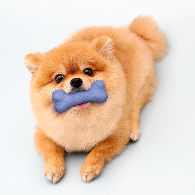 Playology Dog Toys | Dual Layer Bone Durable Chew Toy Bone for Dogs (Value 2-Pack) | Small Blueberry Scented Toy - Easy to Clean and Made from Non Toxic Materials