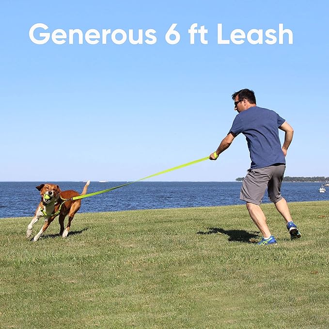 Pawtitas Marsala Brown Dog Leash 6 ft M/L Reflective Durable Lightweight Dog Lead for Medium or Large Dogs and Puppies