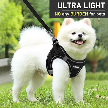 GAMUDA Small Dog Harness Collar and Leash Set, Step in No Chock No Pull Hemp Fabric Soft Mesh Dog Vest Harnesses Reflective for Dogs Puppy and Cats Outdoor Training and Running (Black, S)