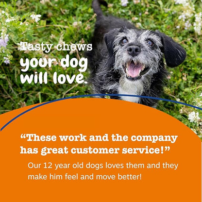 Zesty Paws Senior Dog Multivitamin Treats - Glucosamine for Dogs + Digestive Enzymes & Probiotics - Grain Free Dog Vitamins and Supplements for Skin & Coat + Immune Health Chicken - Advanced - 60ct