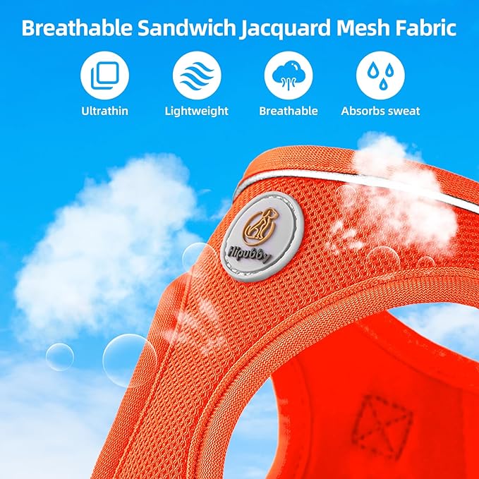 Hipubby Dog Harness and Leash Set, No Pull Soft Mesh Puppy Harness for Small Medium Dogs, Cats - Step in Reflective Breathable Lightweight Vest Harness for Walking, Training - Orange, S