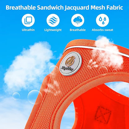 Hipubby Dog Harness and Leash Set, No Pull Soft Mesh Puppy Harness for Small Medium Dogs, Cats - Step in Reflective Breathable Lightweight Vest Harness for Walking, Training - Orange, XXS