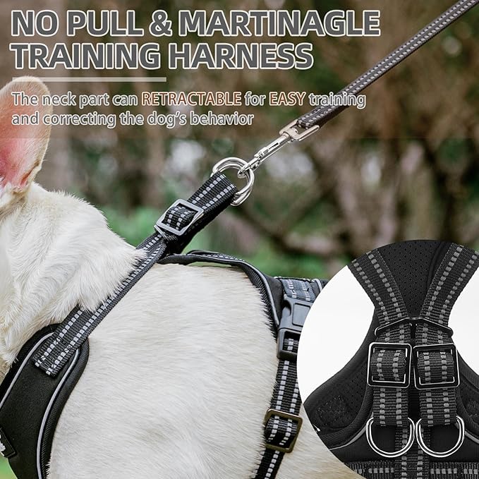 PUPTECK Dog Harness and Leash Set Medium Sized, Adjustable Reflective Escape Proof Puppy Vest, No Pull Walking Harness Easy Control