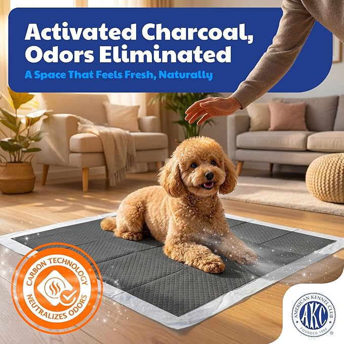 American Kennel Club Carbon-Activated Puppy Training Pads – 100 Count, 22 x 22