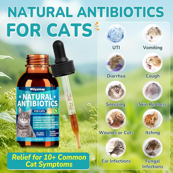 Woyamay Antibiotics for Cats, Natural Antibiotic for Allergy Relief, Urinary Tract Health, Itch Relief & Digestion Care, Cat Allergy Relief for Cats, Cat Immune Support Supplement, 2 Fl Oz