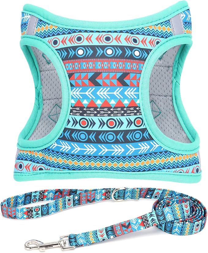 Moonpet Step in Boy Dog Harness Leash Set- All Weather Reflective No-Pull Padded Mesh Vest Harness for Cats Puppy Extra-Small Small Medium Large Dogs - Mayan Mysteries - XL