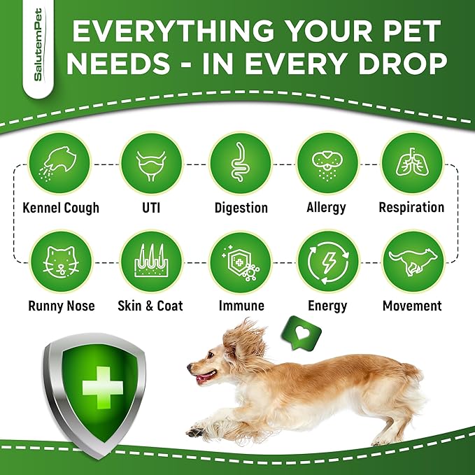 Natural Antibiotics for Dogs to Help with Allergies and UTIs | Kennel Cough Medicine for Dogs | Cat Antibiotics for Infection | Herbal Supplement is Excellent for All Breeds and Ages | 2 oz