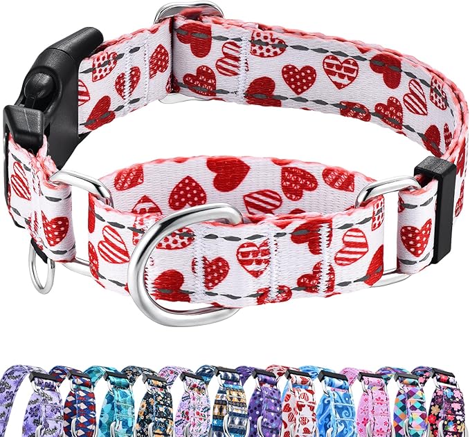 Valentines Reflective Martingale Collar for Dogs with Quick Release Buckle Cute Girl No Pull Dog Collars (Red Heart, Large)