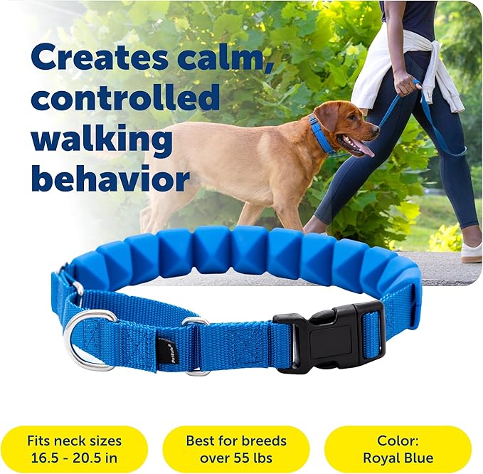 PetSafe Soft Point Training Collar - Comfortable No-Pull Adjustable Quick-Release Collar with Removable Soft Rubber Points - Pain-Free Training for Better Leash Manners - Large - Blue