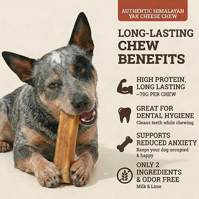 Yak Cheese Himalayan Dog Chews – Long-Lasting Natural Chews for Aggressive Chewers – 2-Ingredient, High Protein, Odorless, Dental Health Treats for Dogs (Large, 4 Pack)