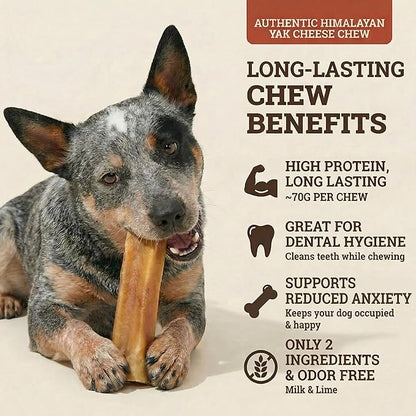 Yak Cheese Himalayan Dog Chews – Long-Lasting Natural Chews for Aggressive Chewers – 2-Ingredient, High Protein, Odorless, Dental Health Treats for Dogs (Large, 4 Pack)