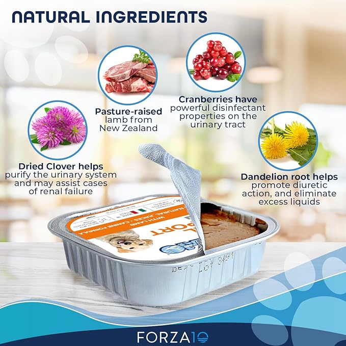 Forza10 - Dog Food, Vet Formulated Wet Dog Food for Kidney Support, Non-GMO, Lamb Flavor, Made in Italy (3.5 oz, 12 Pack)