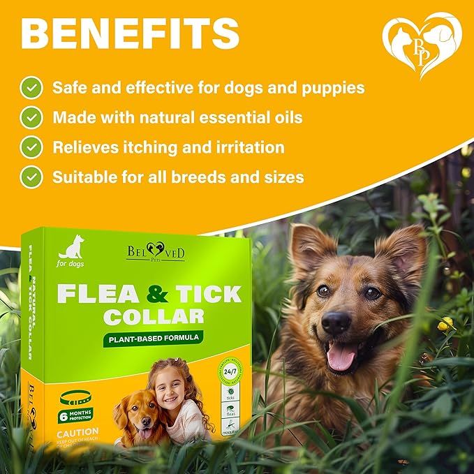 Natural Flea & Tick Collar for Dogs - 6 Months Control of Best Prevention & Safe Treatment - Anti Fleas and Ticks Essential Oil Repellent (1 Count (Pack of 1))