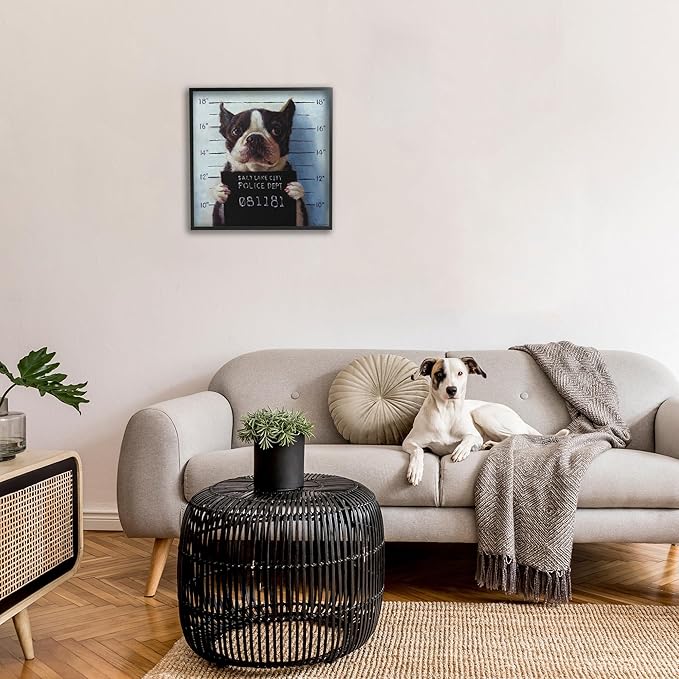 Stupell Industries Funny Boston Terrier Dog Jail Convicted Police, Design by Lucia Heffernan,Blue