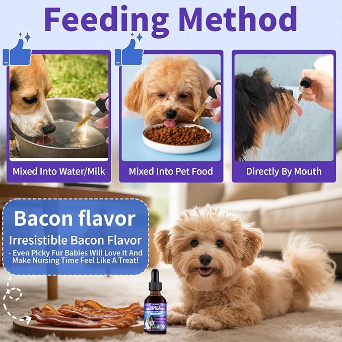 WEALLIN Dog Cough Treatment Support for Dogs - Dog Cough Care Natural Solution for Cough Natural Dog Cough Supplement Herbal Drops Support for All Breeds - 60 ml/2 Fl Oz