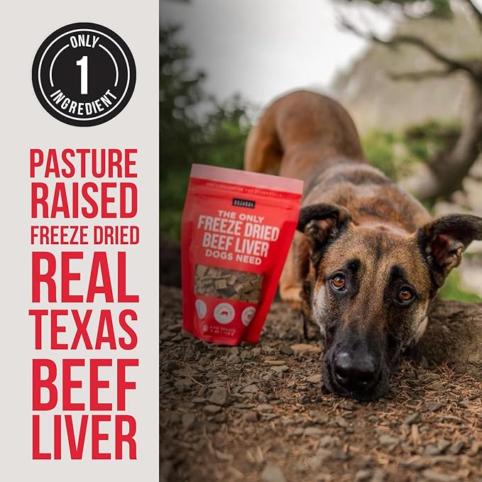 Natural Rapport Freeze Dried Beef Liver Dog Treats - Single Ingredient, USDA Beef, Training Treats for Small & Large Dogs (8 oz, 500+ Treats)