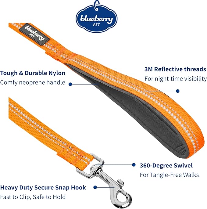 Blueberry Pet 3M Reflective Pastel Color Dog Leash with Soft & Comfortable Handle, 5 ft x 5/8", Orange Peel, Small, Leashes for Dogs
