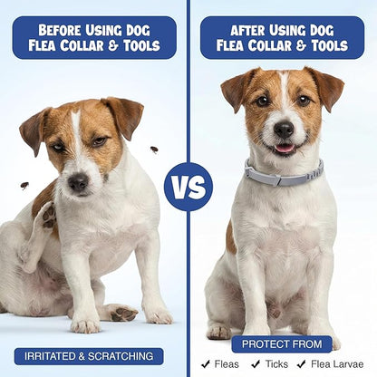 Dog Flea and Tick Collar (2 Pack) – Natural Waterproof Flea Collar for Dogs & Puppies with 8 Month Protection Adjustable Dog Flea Collar Includes Tick Removal Tools & Flea Comb
