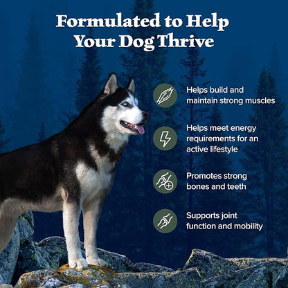 Blue Buffalo Wilderness Natural High-Protein Dry Food for Adult Dogs, with Wholesome Grains, Duck, 4.5-lb Bag