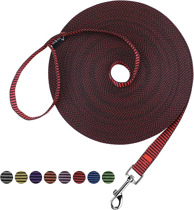 Hi Kiss Dog/Puppy Obedience Recall Training Agility Lead - 15ft 20ft 30ft 50ft 100ft Training Leash - Great for Training, Play, Camping, or Backyard(100ft,Black_red)