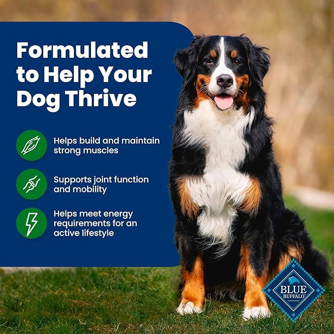 Blue Buffalo Life Protection Formula Adult Dry Dog Food, Helps Build and Maintain Strong Muscles, Made with Natural Ingredients, Lamb & Brown Rice Recipe, 24-lb. Bag