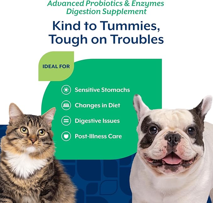 NaturVet – Advanced Probiotics & Enzymes - Plus Vet Strength PB6 Probiotic | Supports and Balances Pets with Sensitive Stomachs & Digestive Issues | for Dogs & Cats (8 oz)