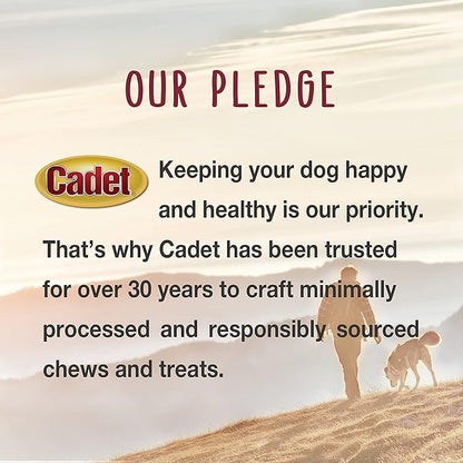 Cadet Stuffed Shin Bone, Long-Lasting Dog Chew Bones for Aggressive Chewers, High Protein Filled Bone Dental Chew for Dogs, Peanut Butter Flavor Filling, 3-4" for Small Dogs, 3 Pack