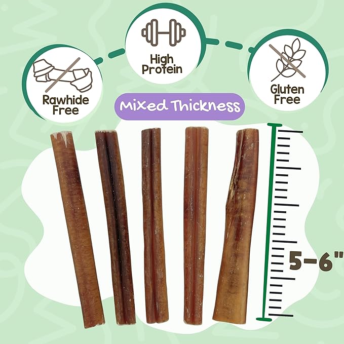 Nature Gnaws Bully Sticks for Dogs 5-6" (8oz) - Mixed Thickness - Long Lasting for Aggressive Chewers and Large Dogs - Natural Beef Dog Chew Bones