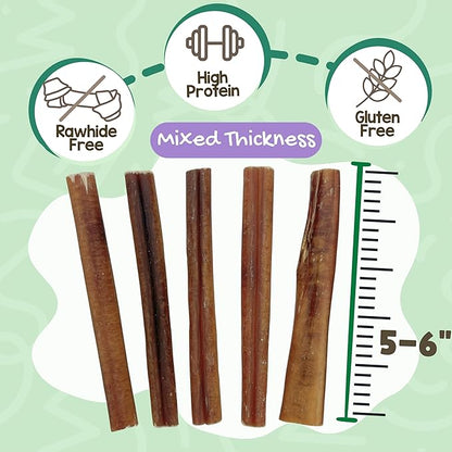 Nature Gnaws Bully Sticks for Dogs 5-6" (8oz) - Mixed Thickness - Long Lasting for Aggressive Chewers and Large Dogs - Natural Beef Dog Chew Bones