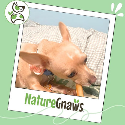 Nature Gnaws Bully Stick Bites for Small Dogs 2-4" (8oz) - Long Lasting for Light Chewers and Puppies - Natural Beef Dog Chew Treats - Rawhide Free