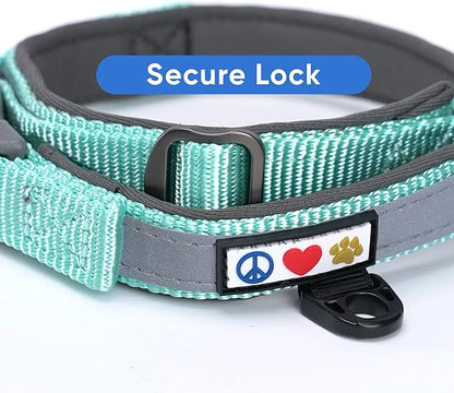 Pawtitas Lumberjack Padded Martingale Collar for Dogs | Soft Neoprene Dog Collar for Your pet's Comfort Made with Reflective Band for Maximum Visibility | Fits Small and Large Pets - Medium Teal