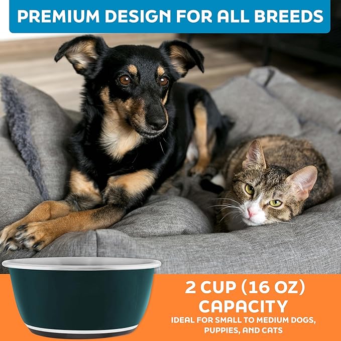 Master Pet Supply Stainless Steel Dog Bowls Set of 2 (16 Oz Each) with Non-Slip Rubber Base - Emerald Sea - Basic Dog Food Bowl Water & Food Bowls for Small Medium Large Dogs & Cats, Metal Dish