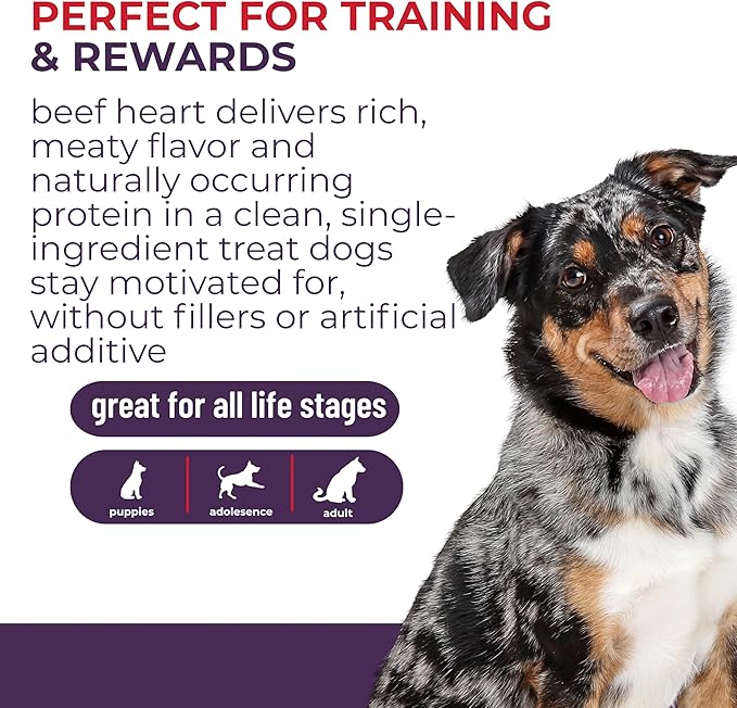Momentum Carnivore Nutrition Freeze-Dried Beef Heart Dog Treats & Cat Treats – Single-Ingredient, High-Protein, Grain-Free – Made in USA – 3 oz Bag