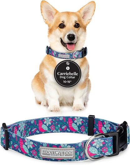 Lucky Love Dog - Adjustable Dog Collar with Easy Click Buckle for Small Dogs, Durable, & Comfortable for Male & Female Dogs, Pet Collar for Puppies & Adult Ones - Carriebelle, Small