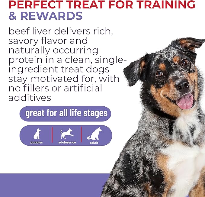 Momentum Carnivore Nutrition Freeze-Dried Beef Liver Dog Treats & Cat Treats – Single-Ingredient, High-Protein, Grain-Free, Nutrient-Rich – Made in USA – 4 oz Bag