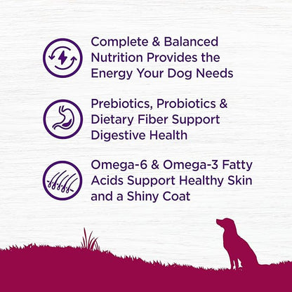 Wellness Complete Health Small Breed Adult Dry Dog Food, Grain Free Kibble, Chicken and Salmon Recipe, 11 lb Bag