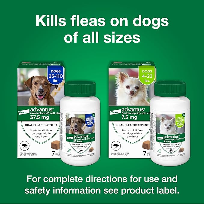 Advantus Dog Fast Acting Oral Flea Treatment Soft Chewable 4 - 22 lbs. | 7 ct.