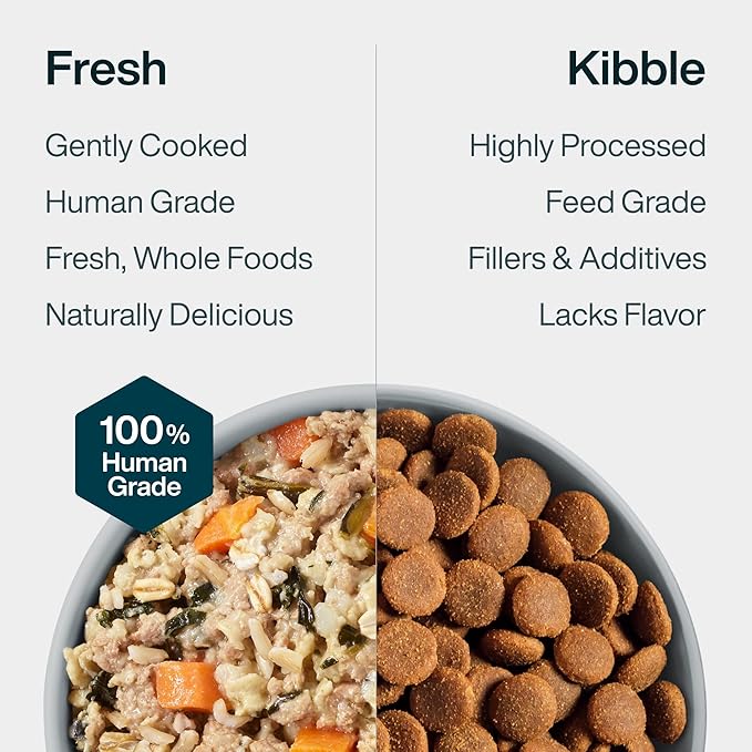 JustFoodForDogs JustFresh Wet Dog Food, Fresh Pet Meals and Toppers with No Preservatives, Resealable Package, Human Grade, Home-Cooked Turkey, 12 oz - 7 Pack