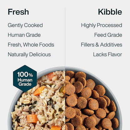 JustFoodForDogs JustFresh Wet Dog Food, Fresh Pet Meals and Toppers with No Preservatives, Resealable Package, Human Grade, Home-Cooked Turkey, 12 oz - 7 Pack