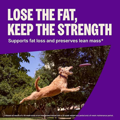 Wellness CORE Dry Dog Food, Small Breed, Grain-Free, High Protein, Natural, Healthy Weight Turkey & Chicken Recipe, (4-Pound Bag)