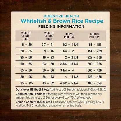 Wellness CORE Digestive Health Adult Dry Dog Food, Wholesome Grain Kibble, Sensitive Stomach, Natural, High Protein, Chicken Free, Whitefish and Brown Rice Recipe, 22 lb Bag