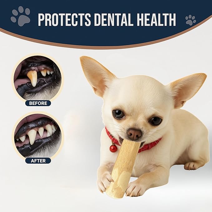 Set of 1 Coffee Wood Dog Chew Stick Toy for Dog, Natural and Real Wooden Bone Sticks for Pets, Safe Dental Cleaning Chews, Pets Health, Teeth Cleaning and Relieve Stress (Small)