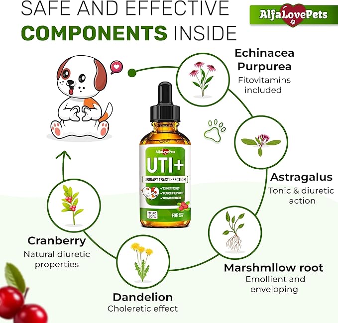 Cat UTI Treatment to Care for Kidneys and Bladder – Dog UTI Treatment for Pets of All Ages and Breeds – Urinary Tract Cat Safe Formula – Cranberry Supplement for Dogs & Other Pets – 2 Oz