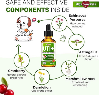 Cat UTI Treatment to Care for Kidneys and Bladder – Dog UTI Treatment for Pets of All Ages and Breeds – Urinary Tract Cat Safe Formula – Cranberry Supplement for Dogs & Other Pets – 2 Oz