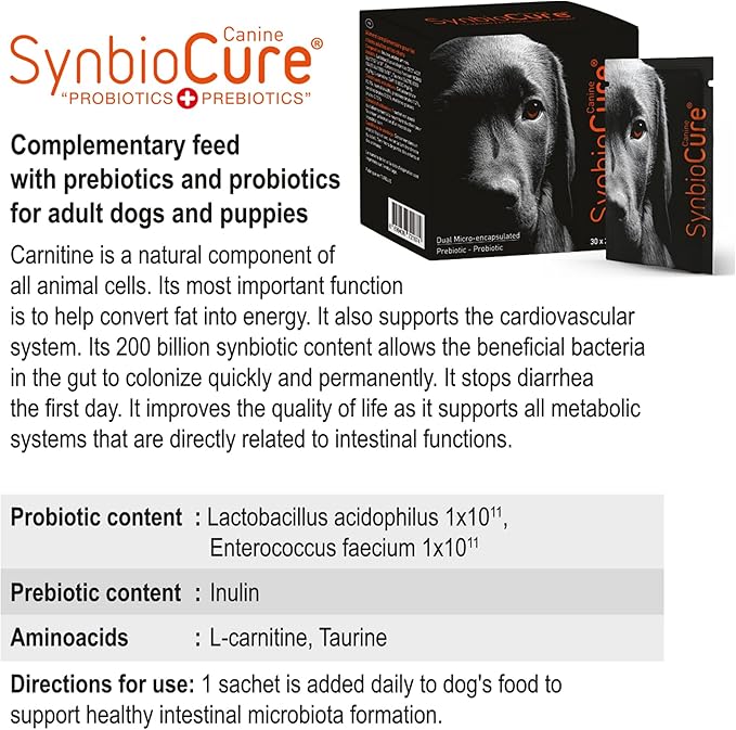 I Probiotics & Prebiotics for Dogs I Powder Dog Supplement I Digestive Health Support I 200 Billion Bacteria Per Sachet I 30 Sachets*2 g