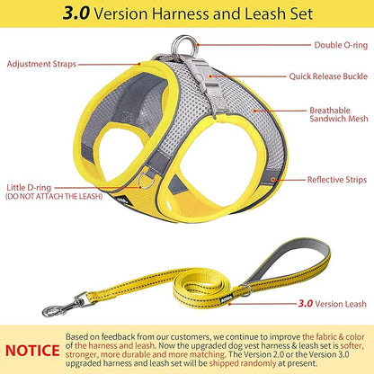 AIITLE Comfortable Dog Harness and Leash Set for Walking - Spring Step in Vest Harness,Reflective Bands, Adjustable No Pull Puppy Essentials, for Small Dogs and House Cats Yellow XS