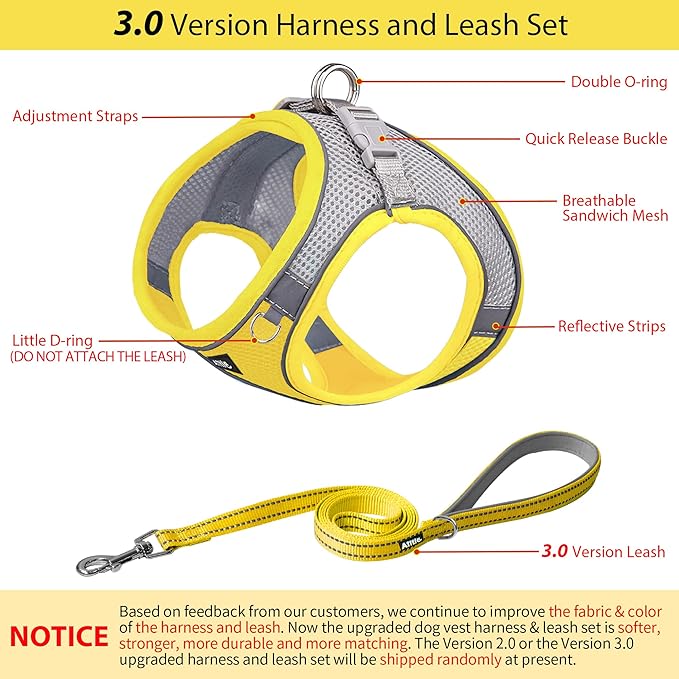AIITLE Step in Dog Harness and Leash Set - No Pull Escape Proof Vest Harnesses with Soft Mesh and Reflective Bands, Adjustable Pet Outdoor Harnesses for Small and Medium Dogs Yellow M